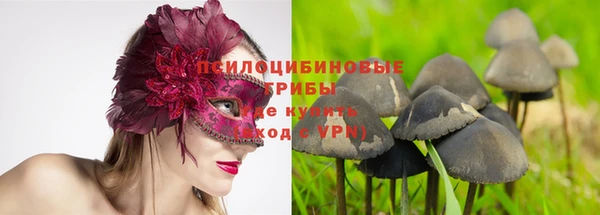 стаф Видное