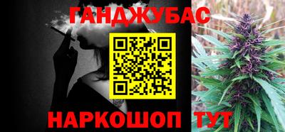 индика Бийск