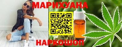 индика Бийск