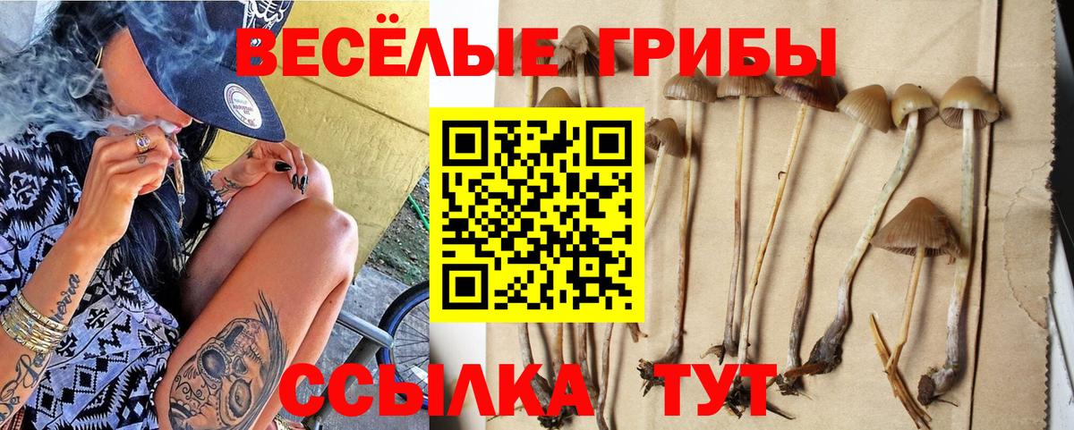 Губкинский  Псилоцибиновые грибы MAGIC MUSHROOMS  Вход с VPN 
