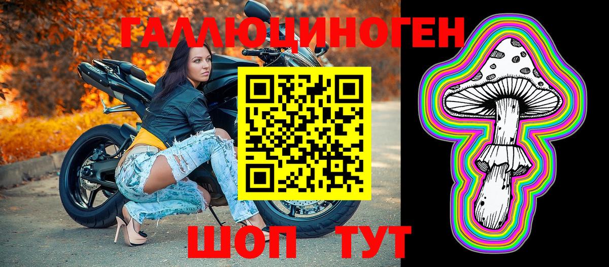 Галлюциногенные грибы прущие грибы Губкинский