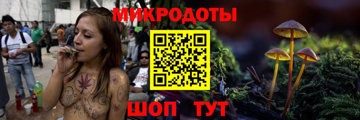 Галлюциногенные грибы Psilocybine cubensis  Губкинский 